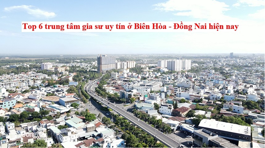top-6-trung-tam-gia-su-uy-tin-o-bien-hoa-hien-nay